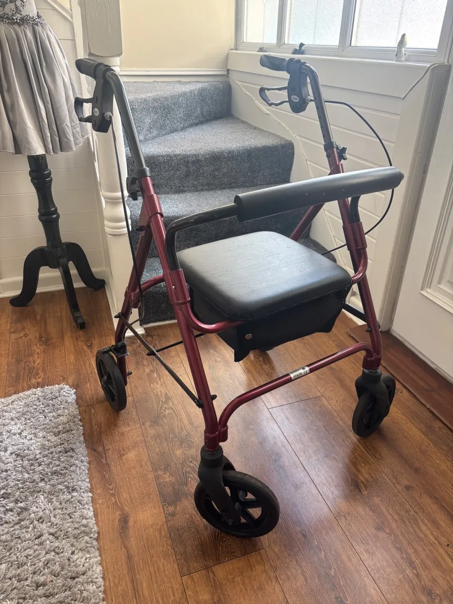 Foldable walker - Image 3