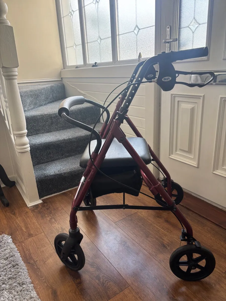 Foldable walker - Image 1