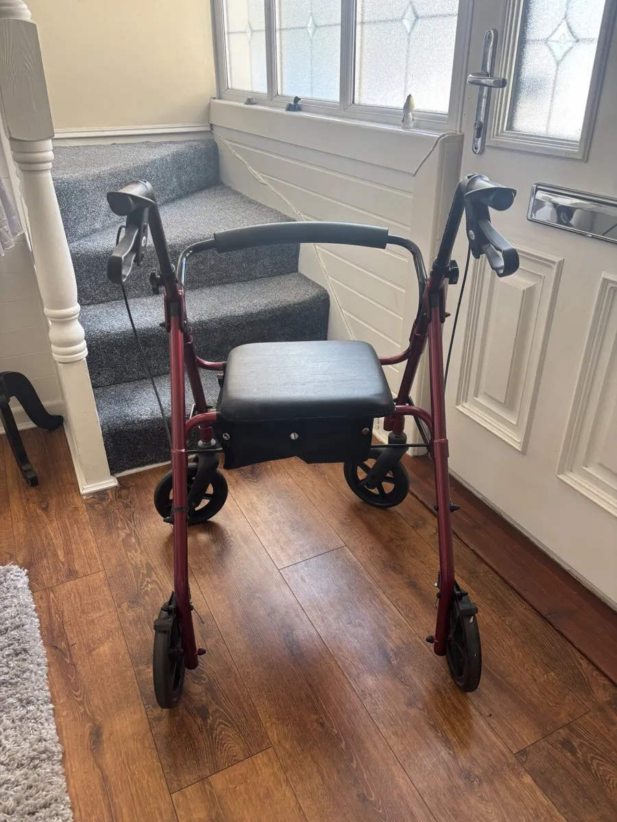 Foldable walker - Image 4