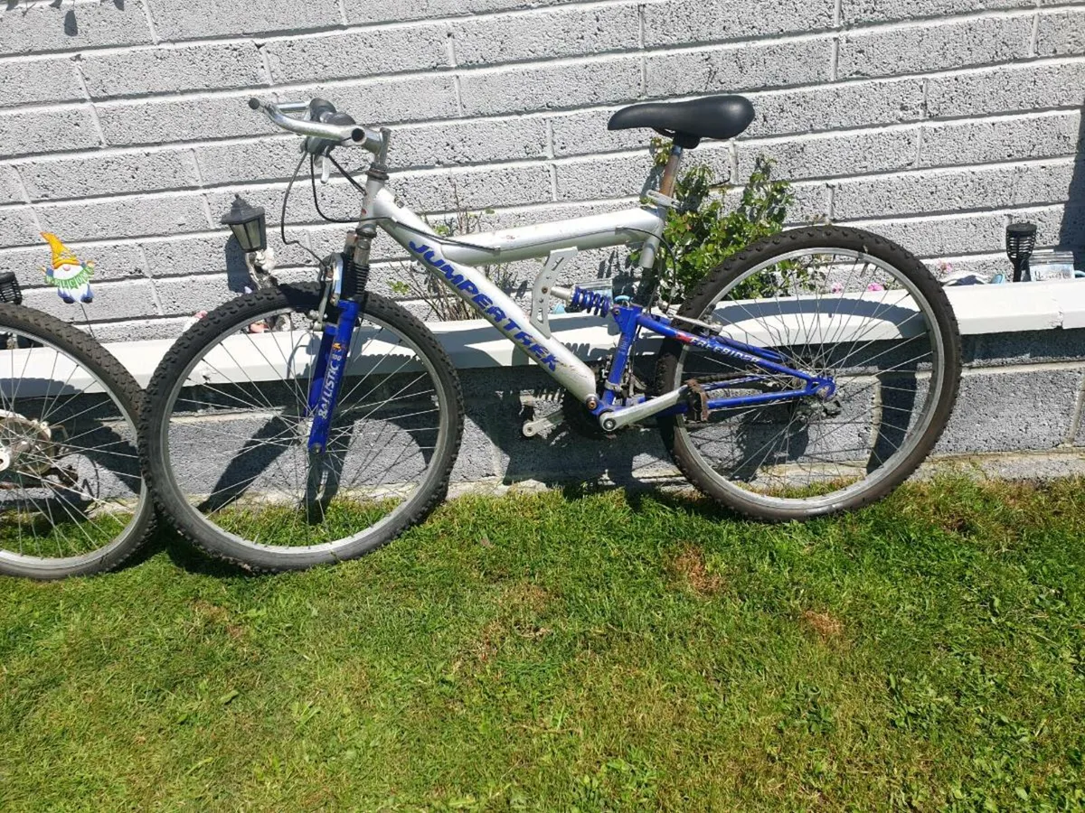 TEENS BIKE