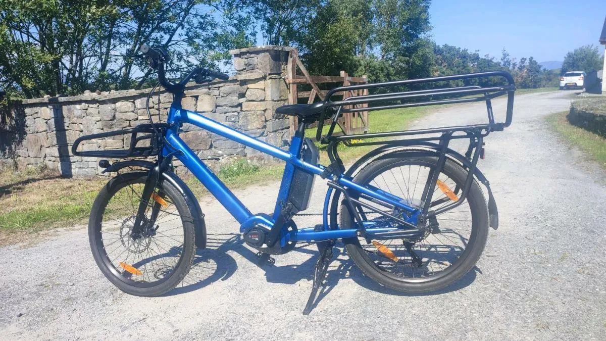 Ebike - Image 1