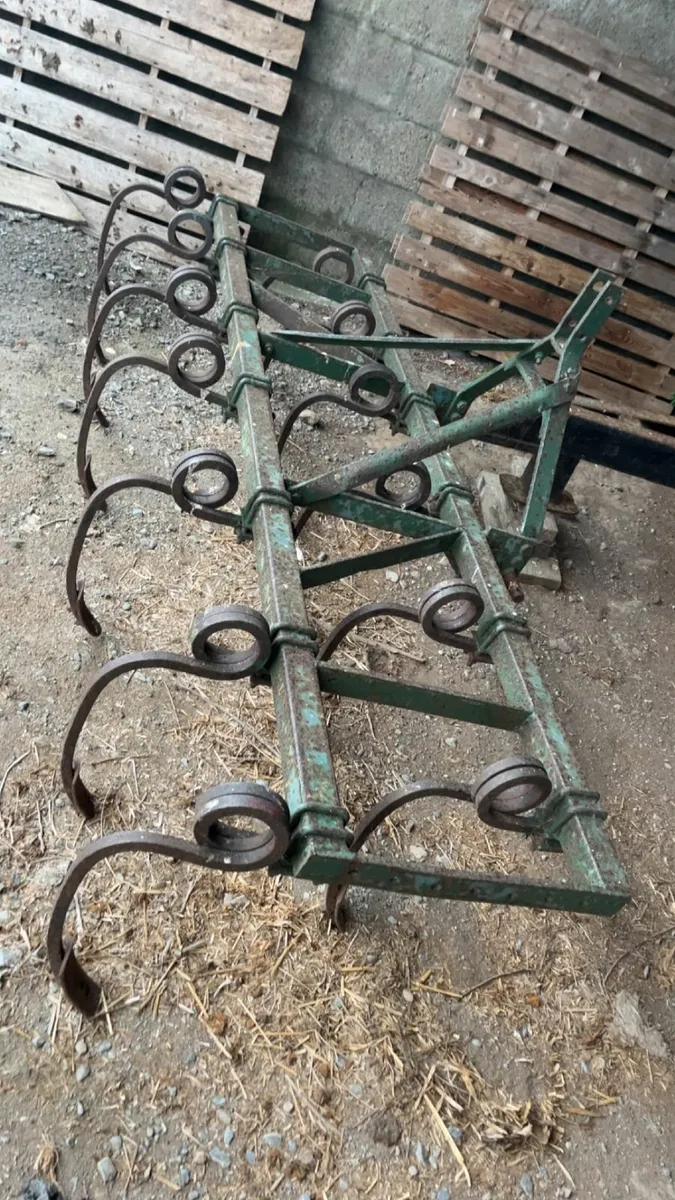 A Pigtail Cultivator - Image 2