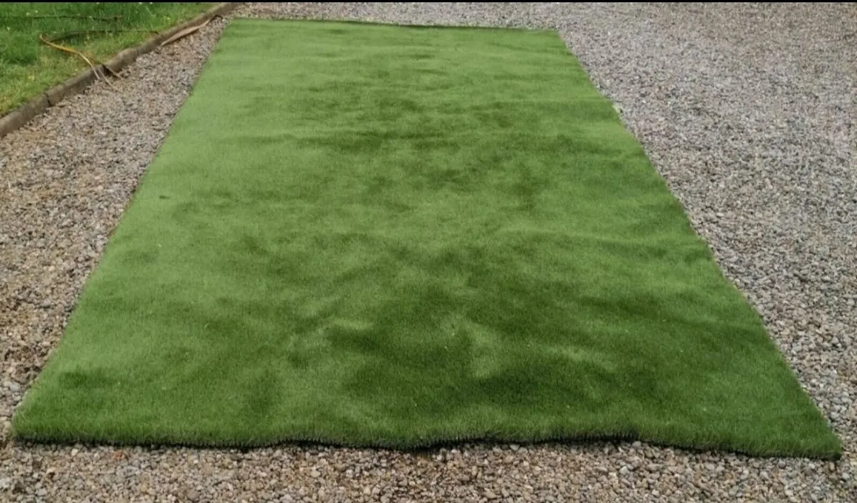 Artificial Grass - Image 1