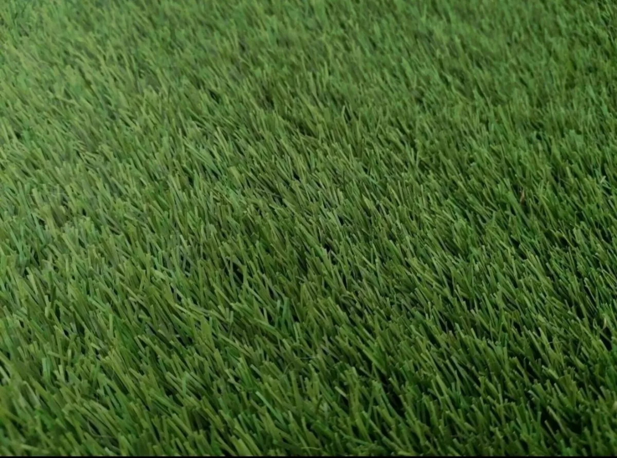 Artificial Grass - Image 2