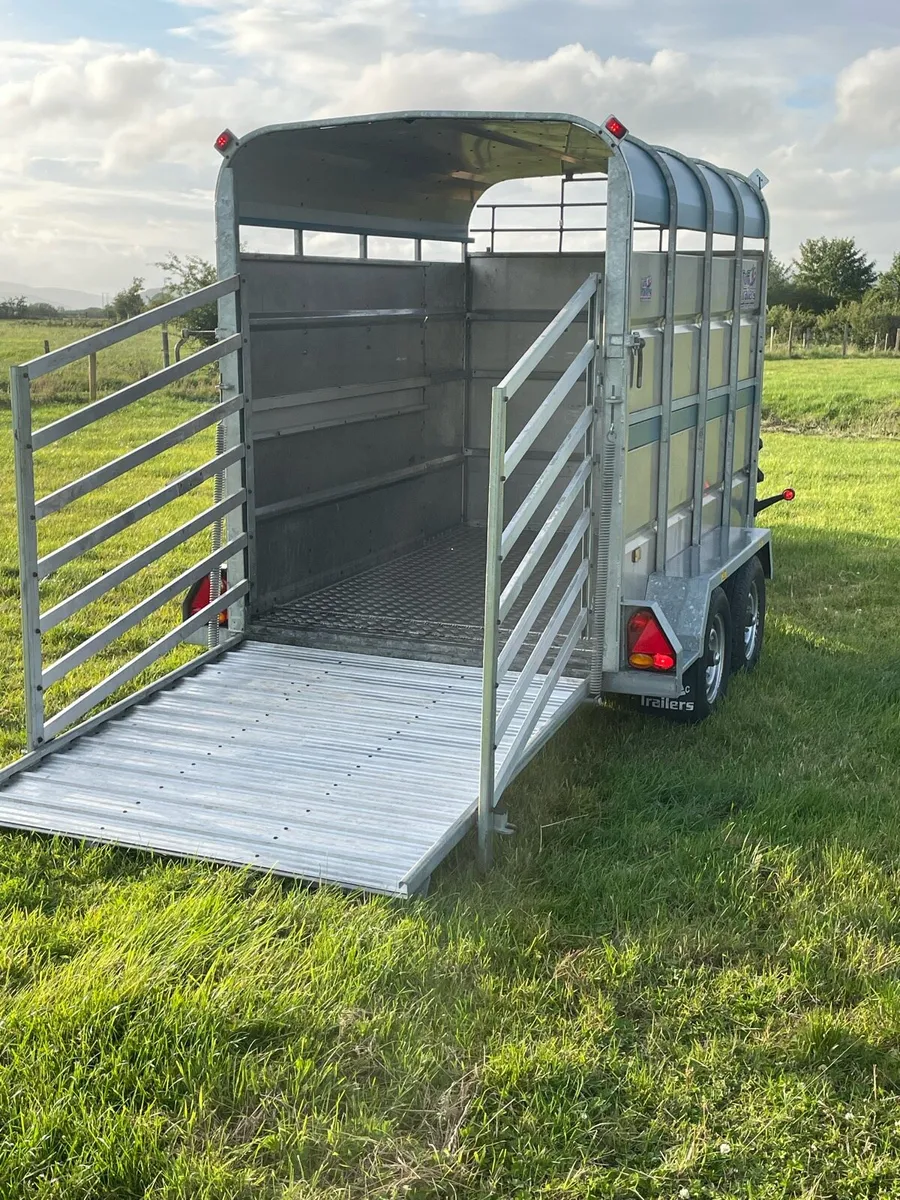 8x5 as new cattle trailer - Image 1