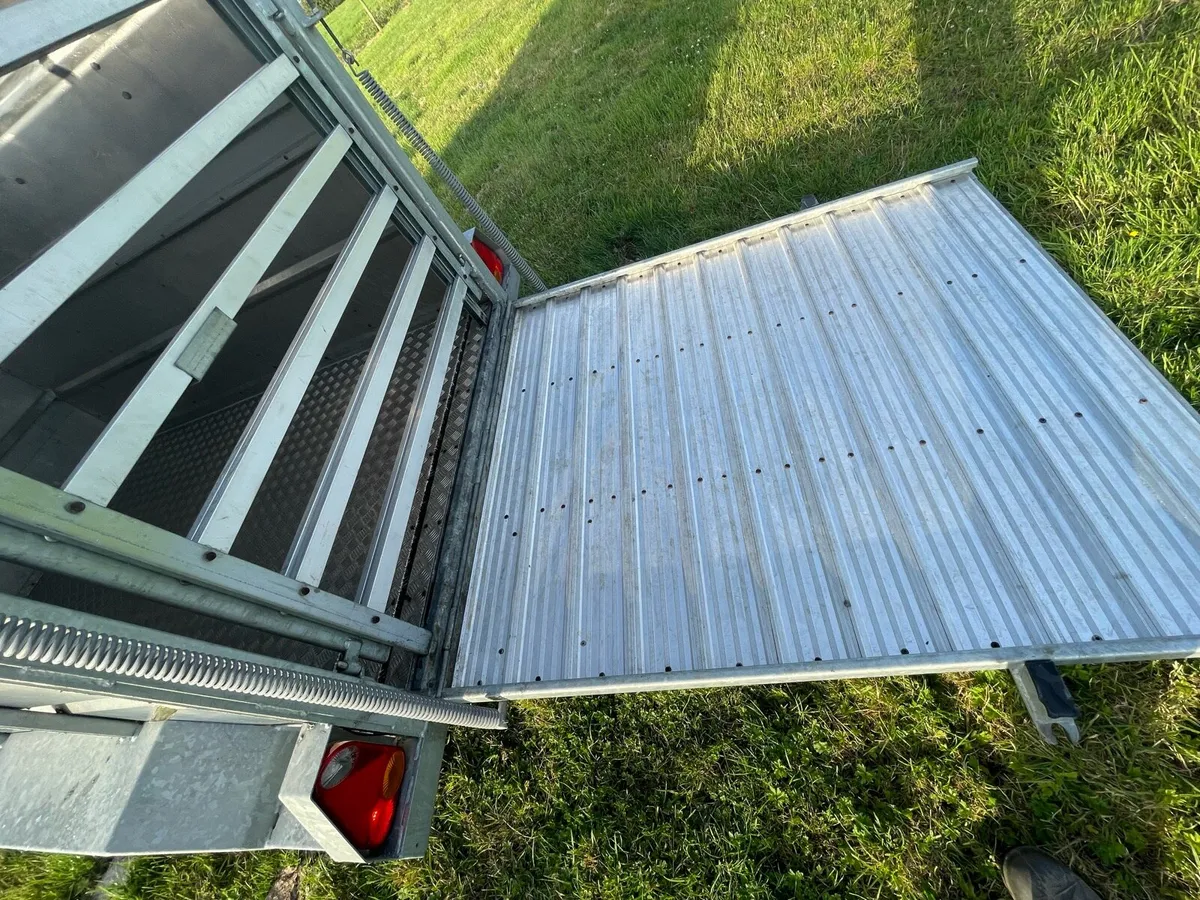 8x5 as new cattle trailer - Image 4