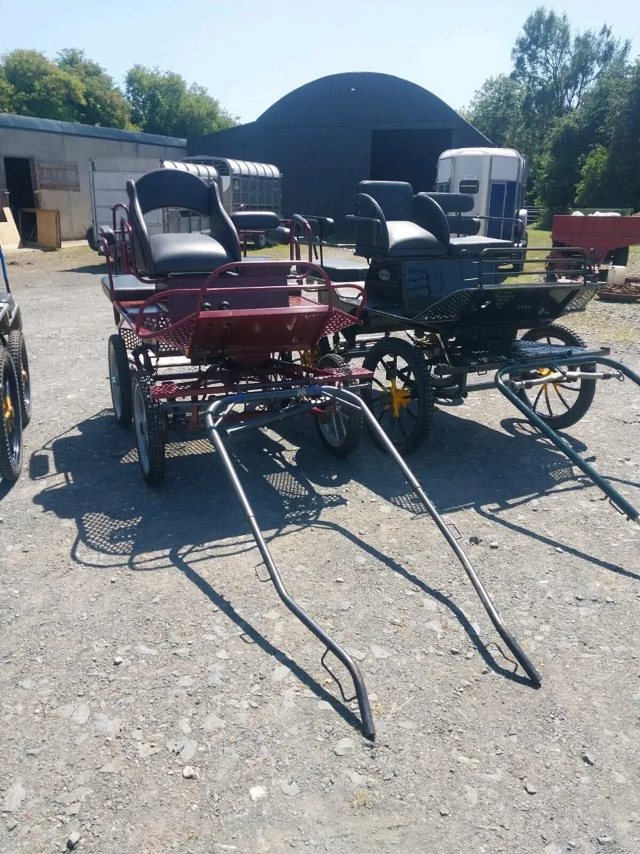 SELECTION OF DUTCH CARRIAGES FOR SALE - Image 1