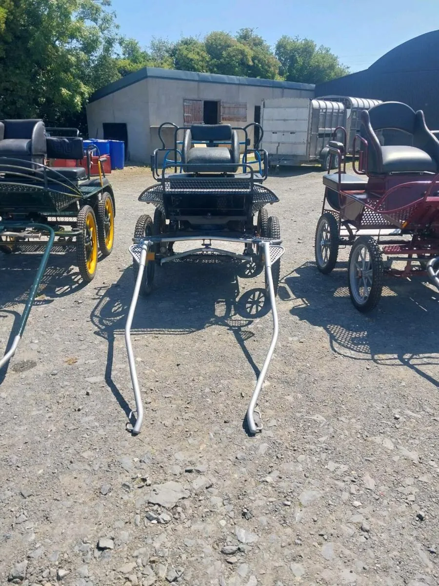 SELECTION OF DUTCH CARRIAGES FOR SALE - Image 2