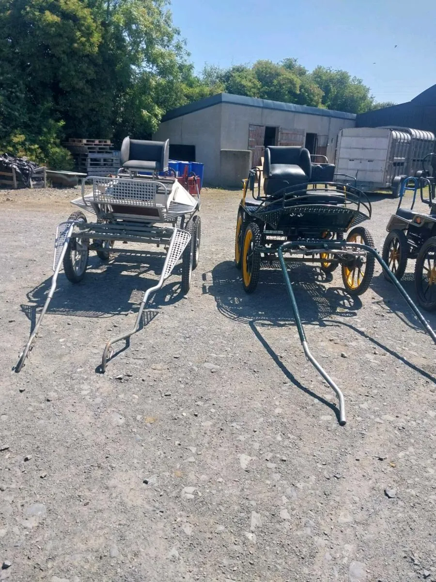 SELECTION OF DUTCH CARRIAGES FOR SALE - Image 3