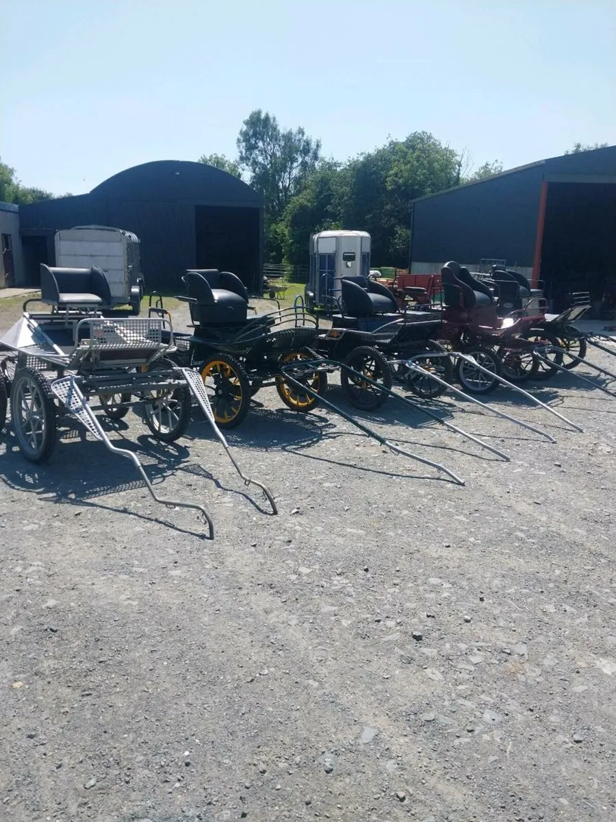 SELECTION OF DUTCH CARRIAGES FOR SALE - Image 4