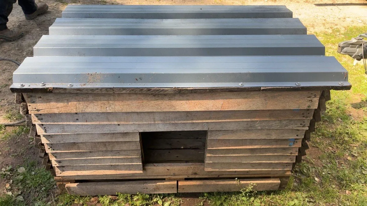 Chicken coop & run - Image 1