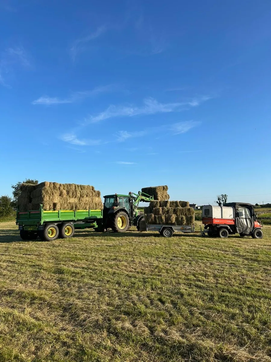 Square Bales of Hay - Image 1
