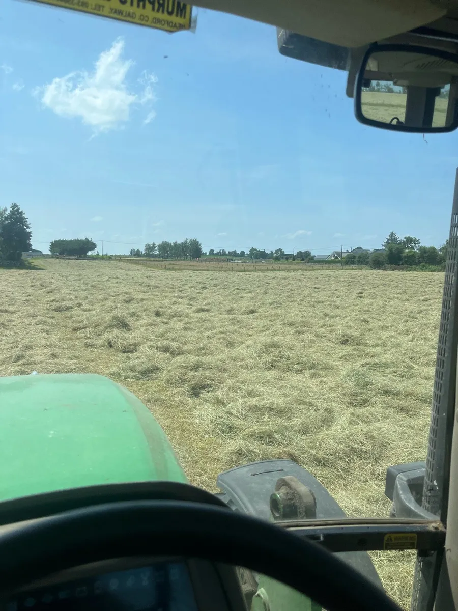 Square Bales of Hay - Image 3
