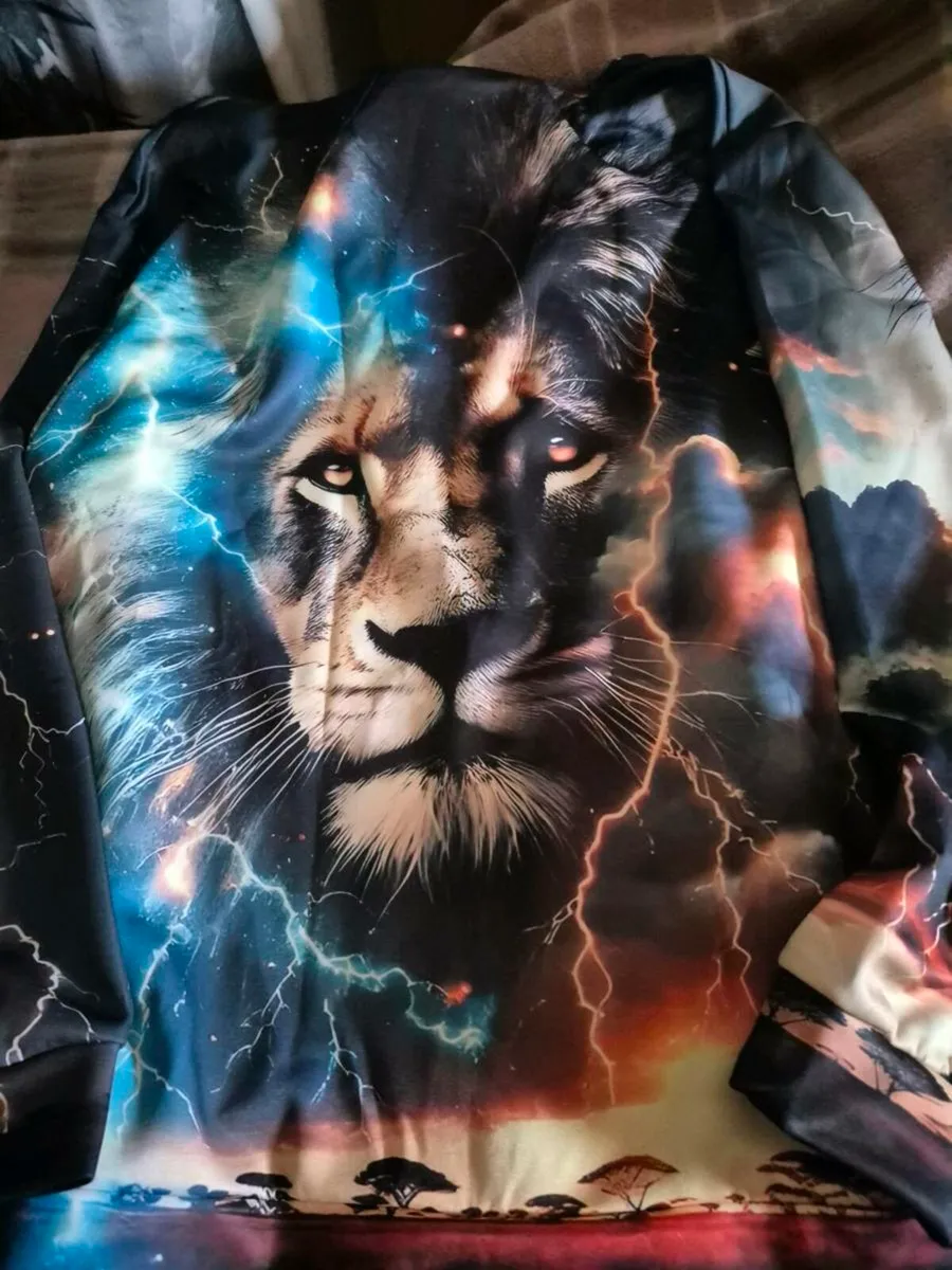 2 NEW HOODIES - Image 3