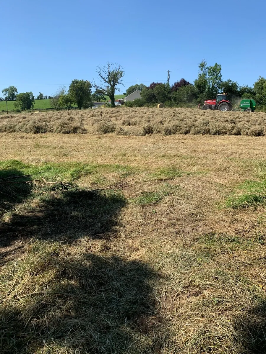 Hay bales