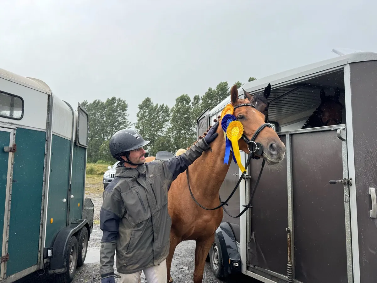 16.1h 5 year old jumping/ eventing/ dressage - Image 4