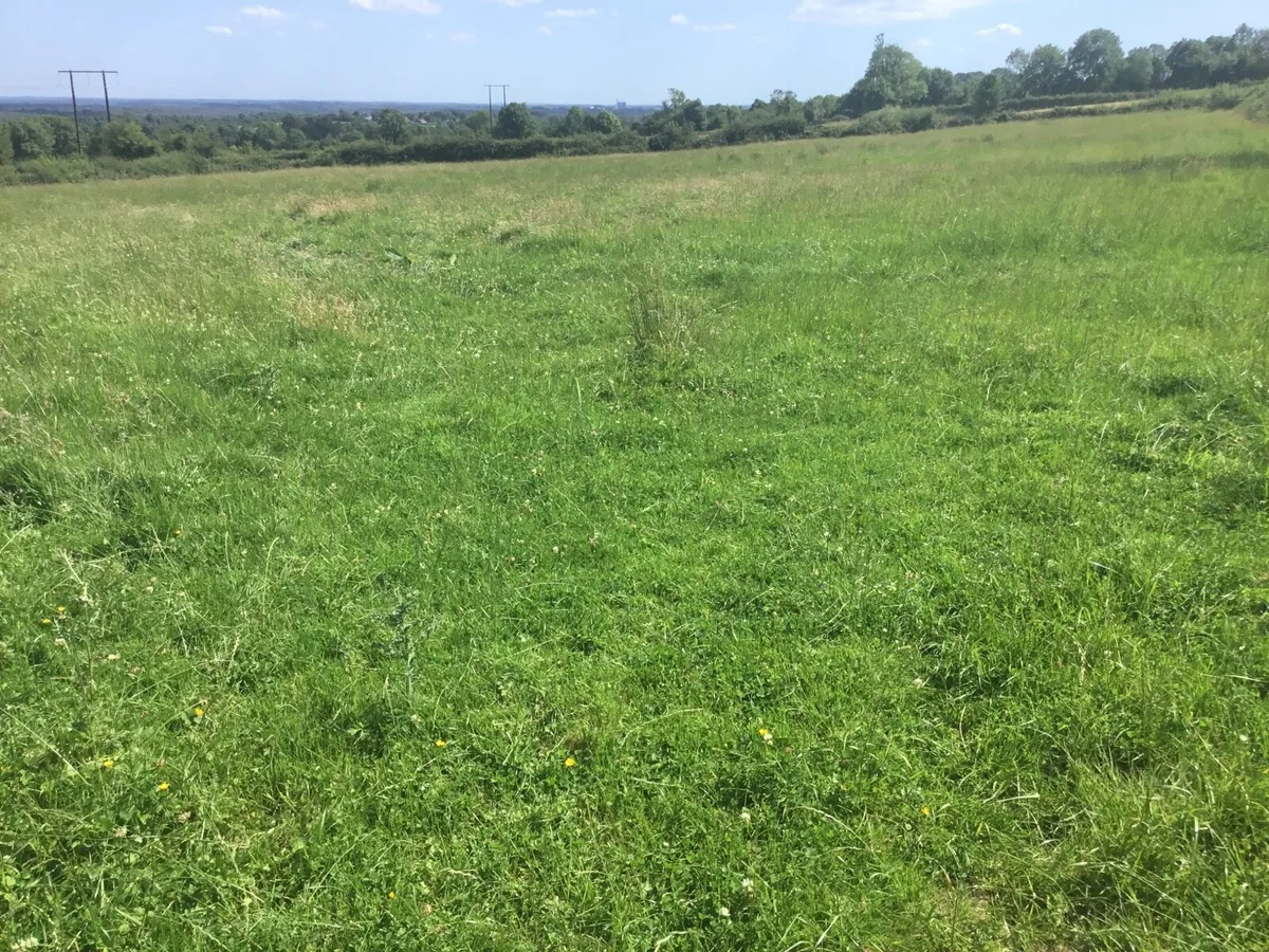Meadow - Image 1
