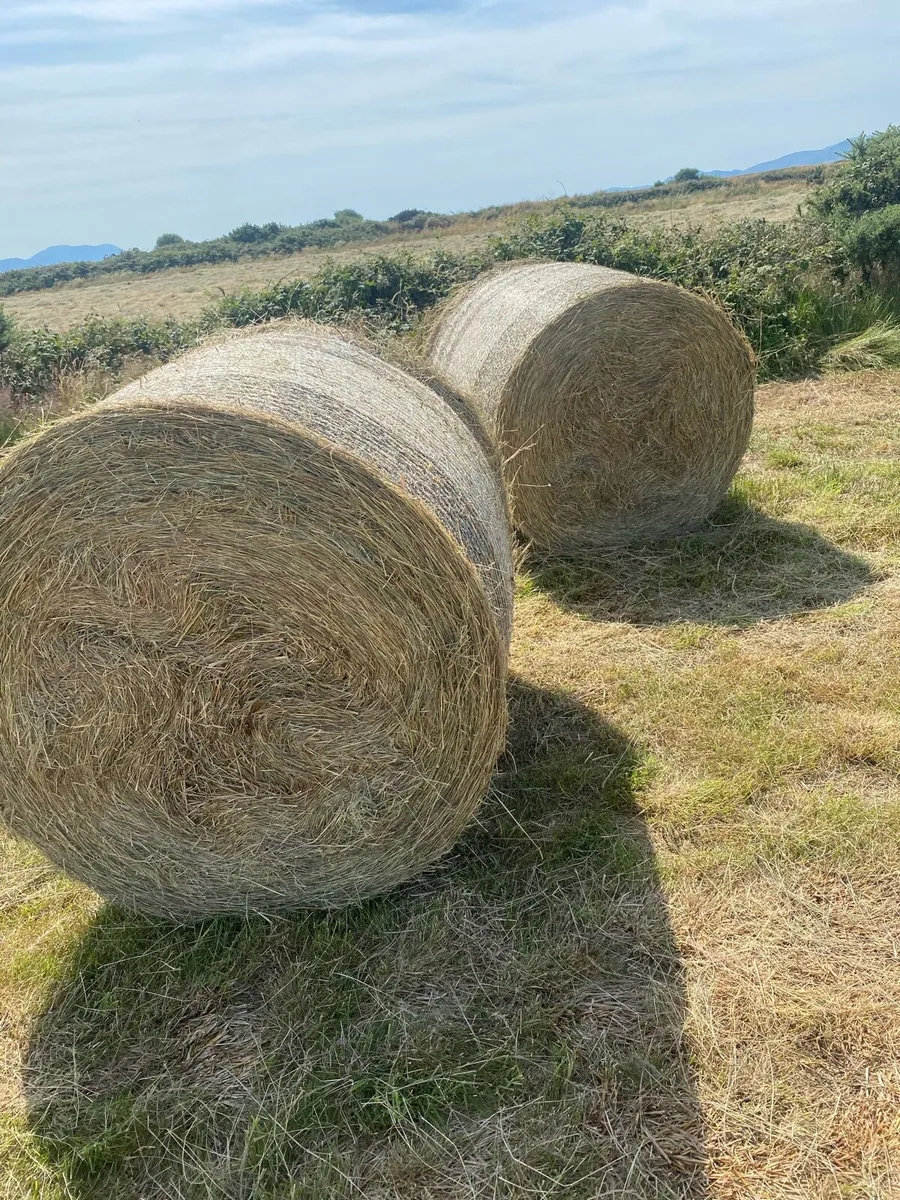 Hay/potatoe ridger - Image 2