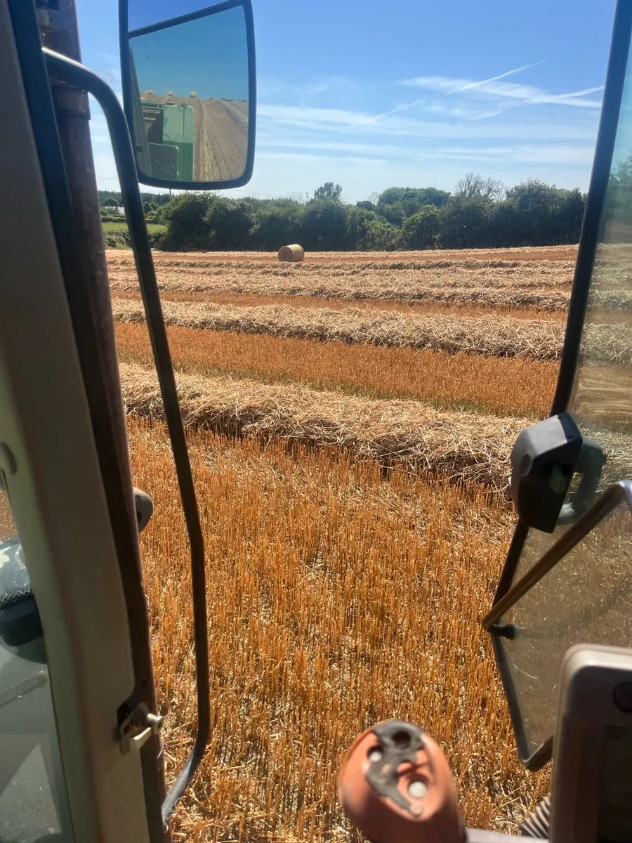 Winter oaten straw - Image 1