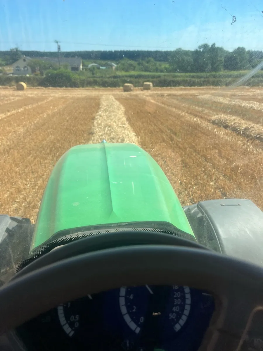 Winter oaten straw - Image 2