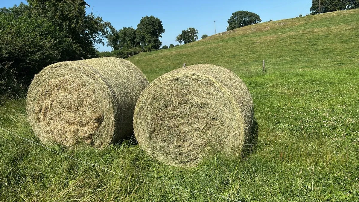 Hay Bales