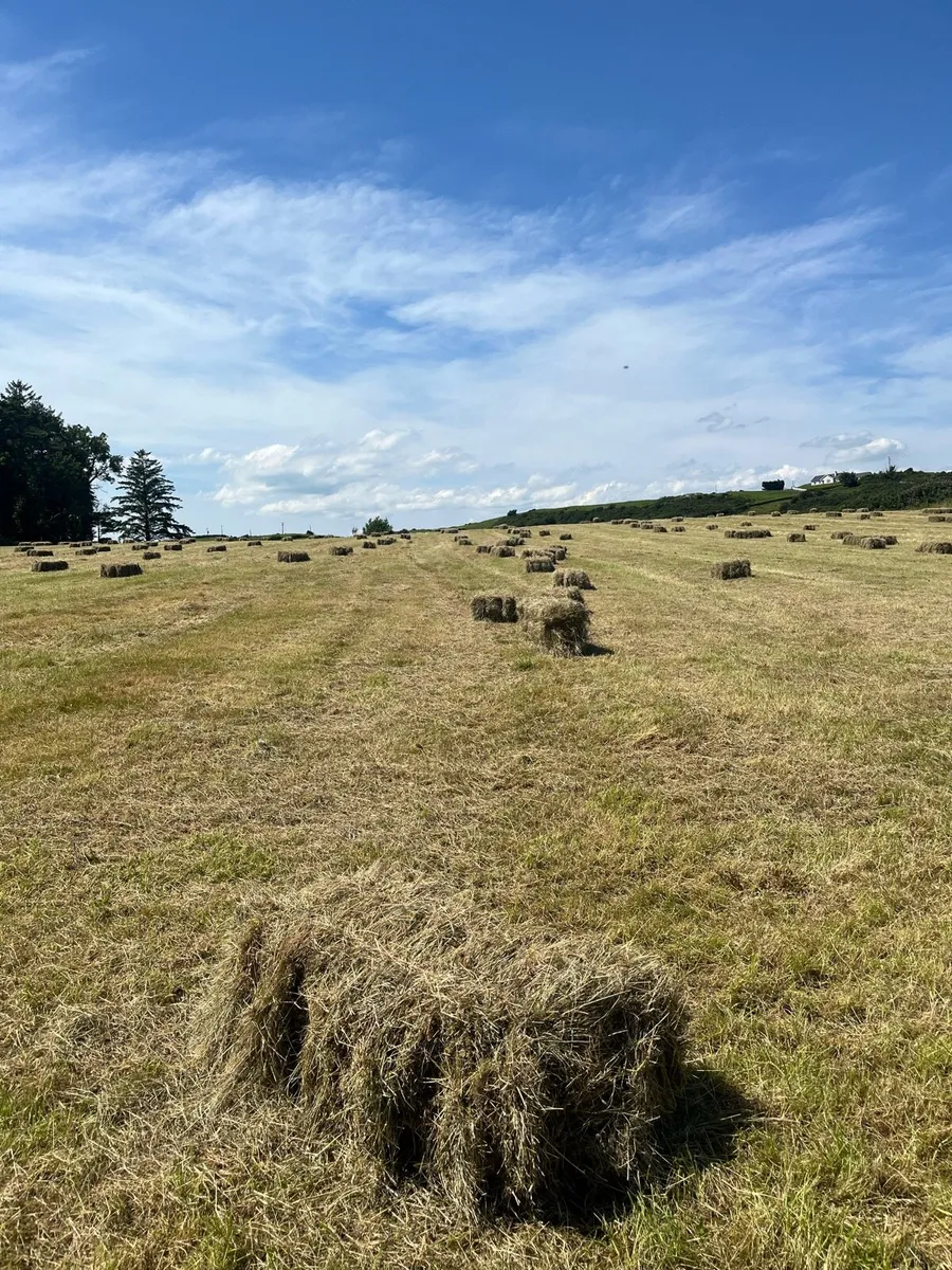 Organic Square & Round Bales - Image 1