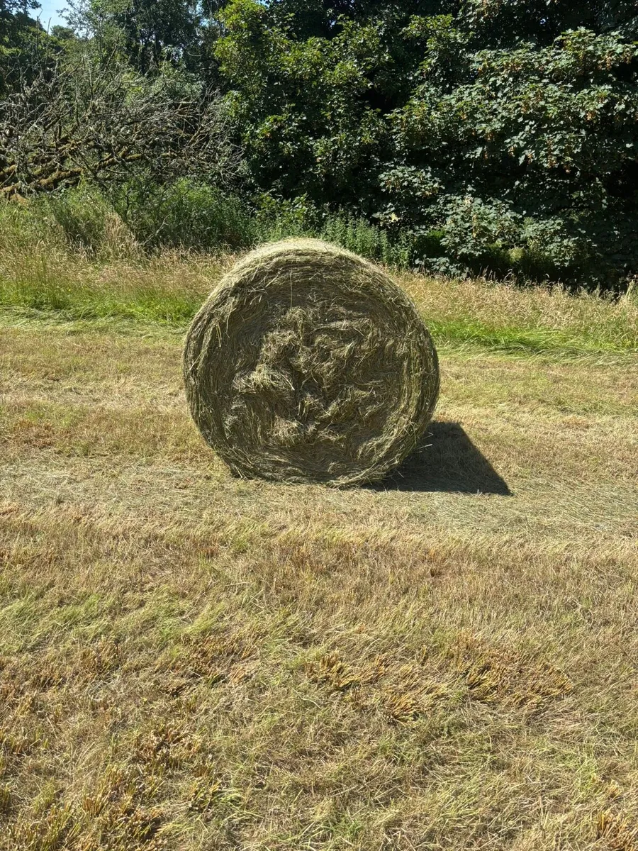Organic Square & Round Bales - Image 3