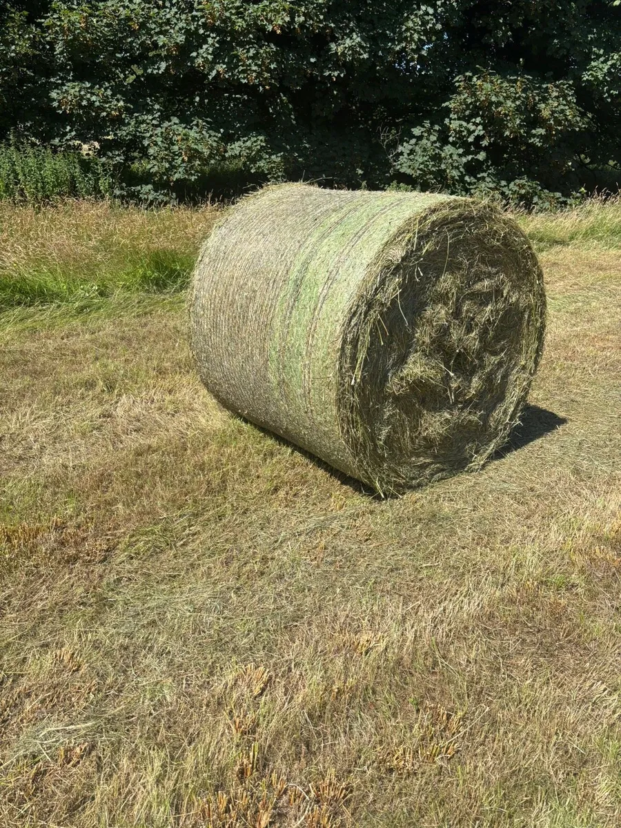 Organic Square & Round Bales - Image 4