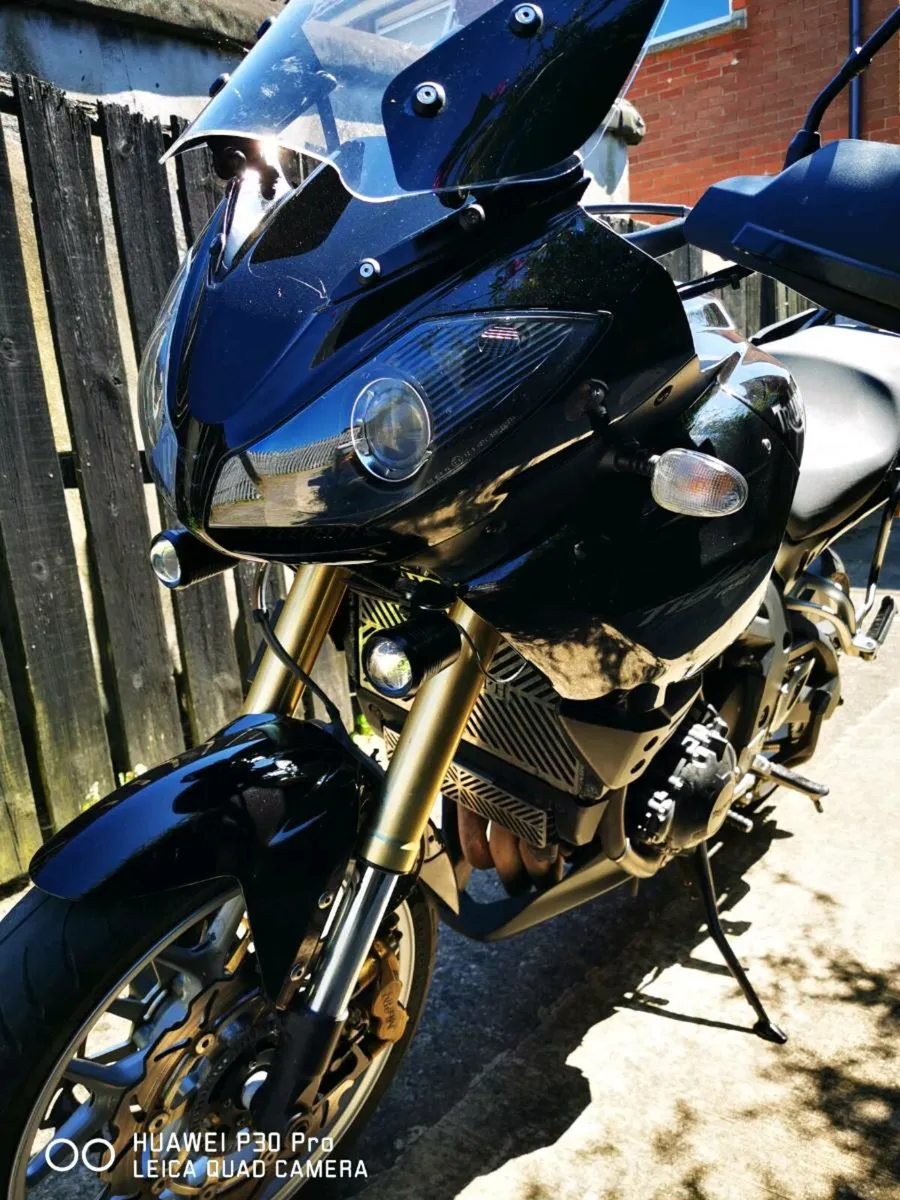 Triumph Tiger 1050 abs - Image 3