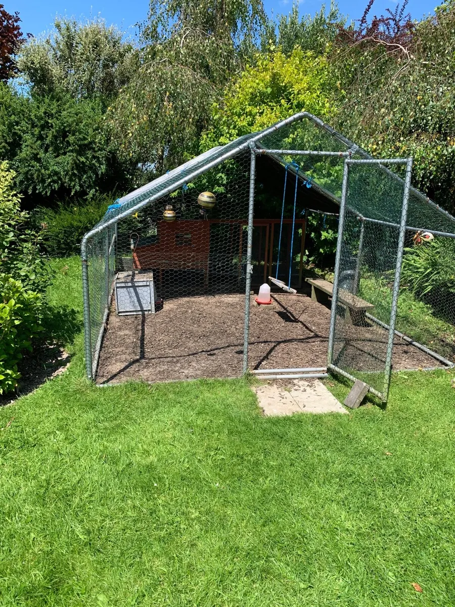 Chicken Coop - Image 4