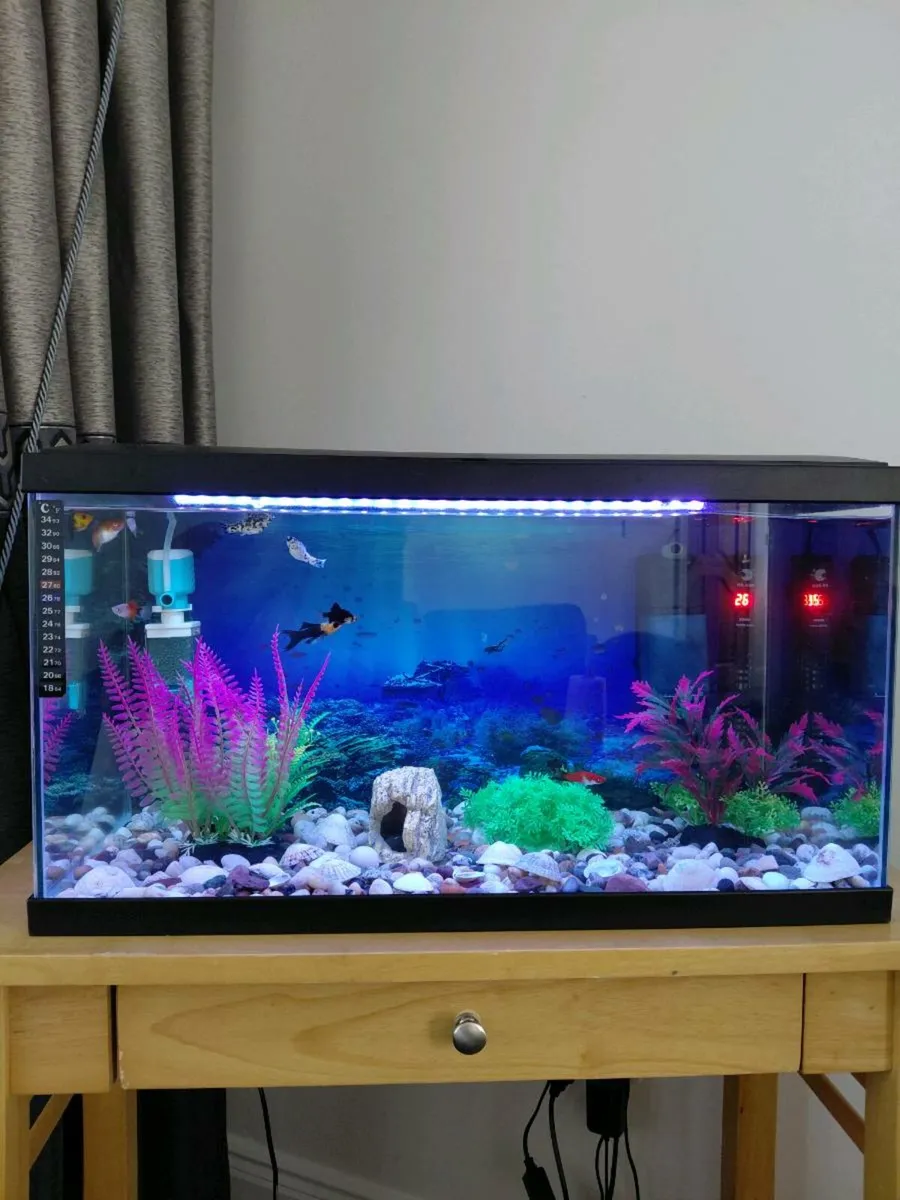 Fish tank - Image 1