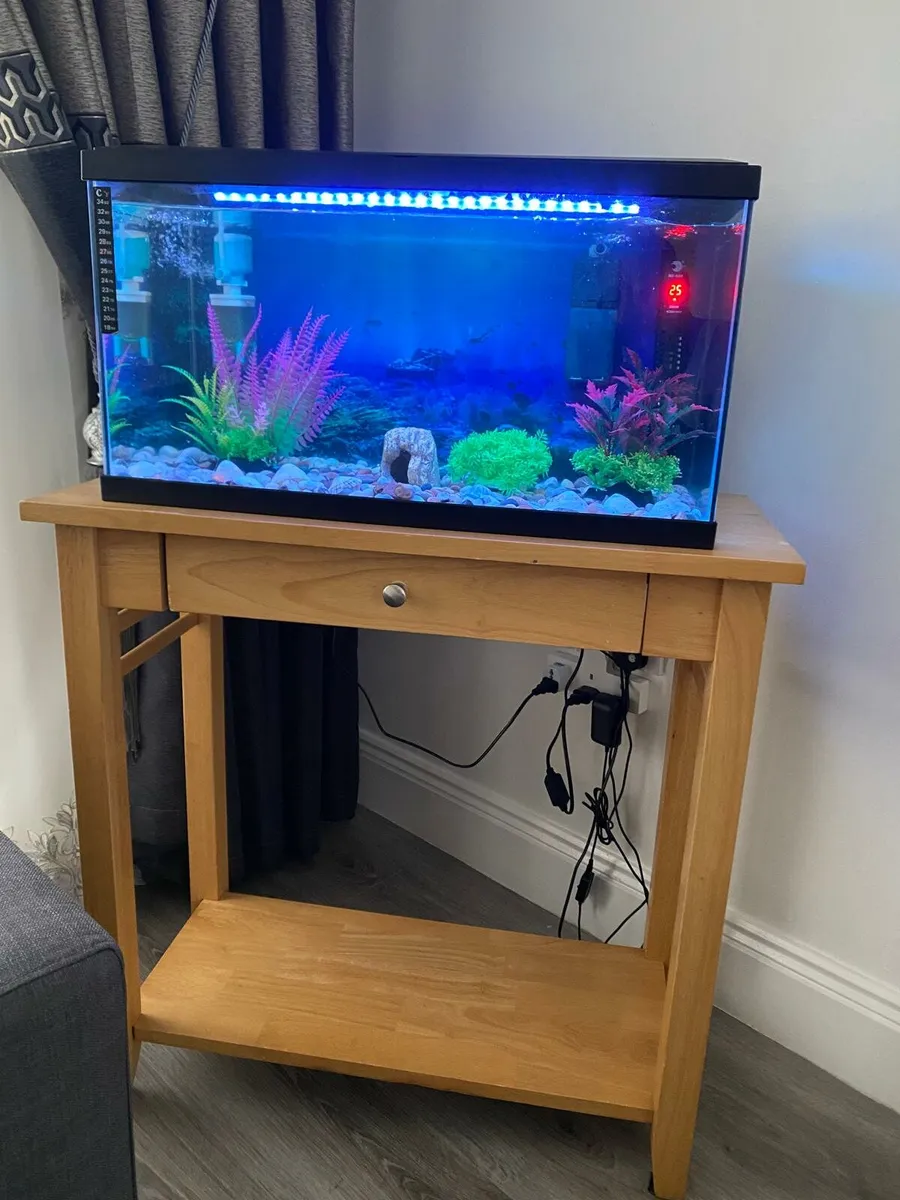 Fish tank - Image 2