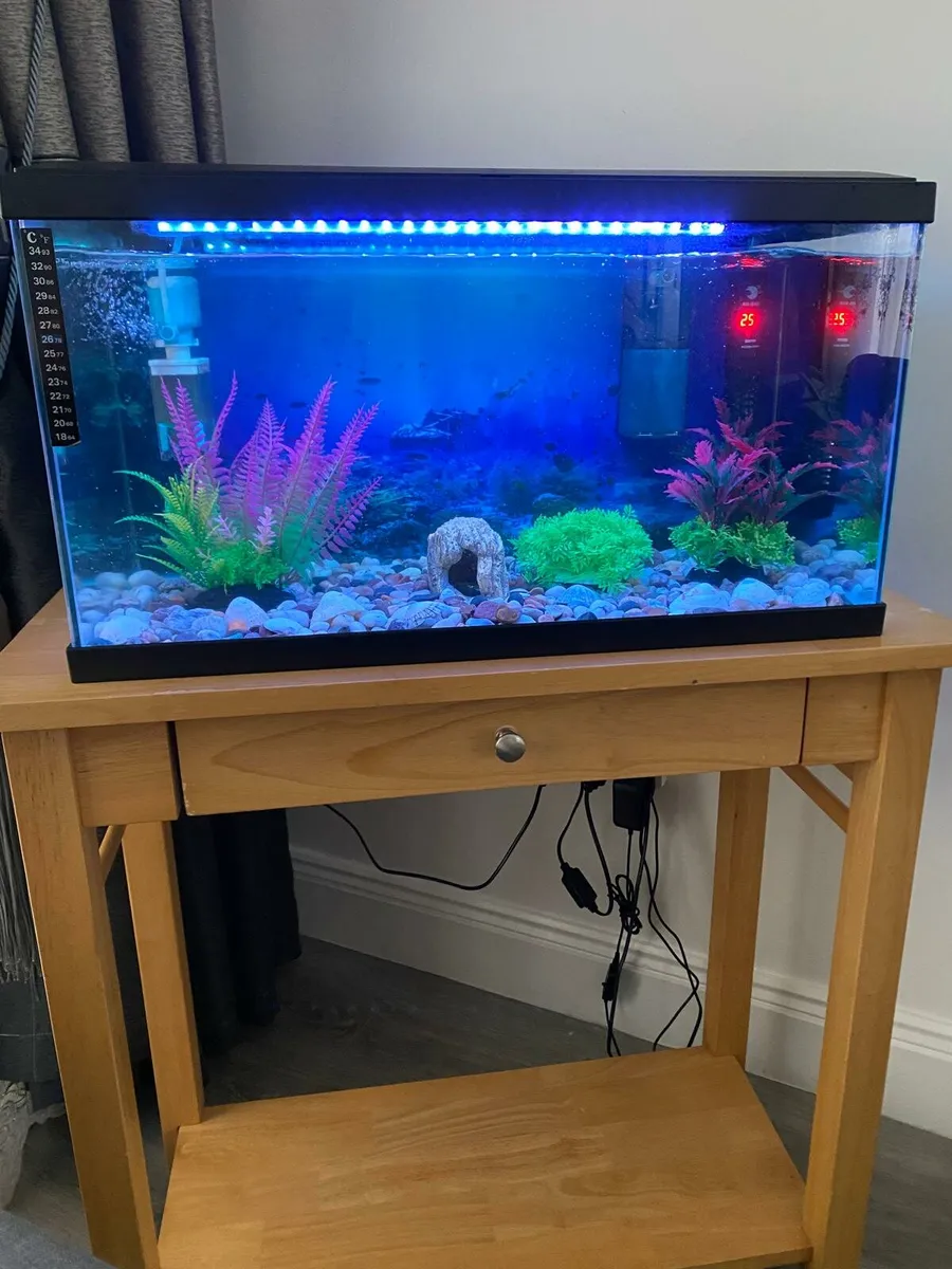 Fish tank - Image 3