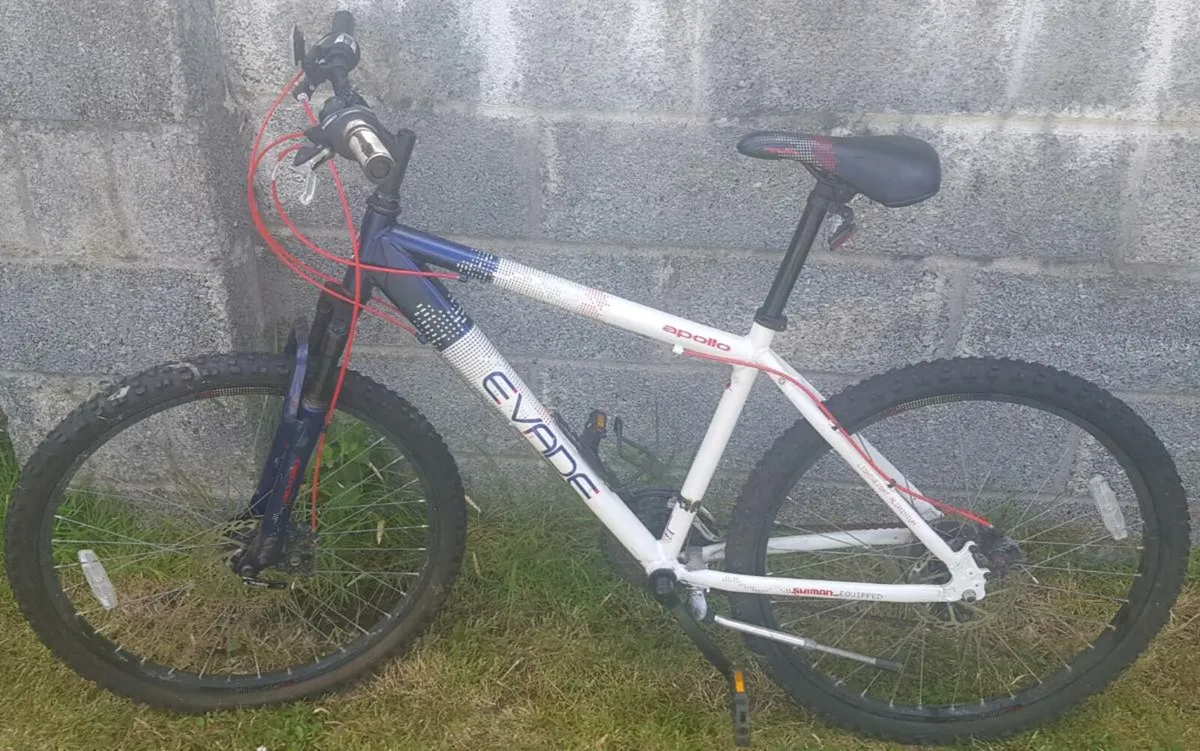 Mens mountain bike - Image 1