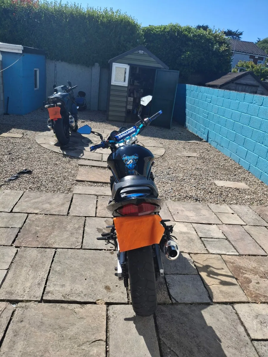 Bandit - Image 1