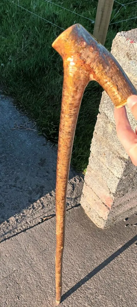 Hazal root stick /walking stick - Image 2