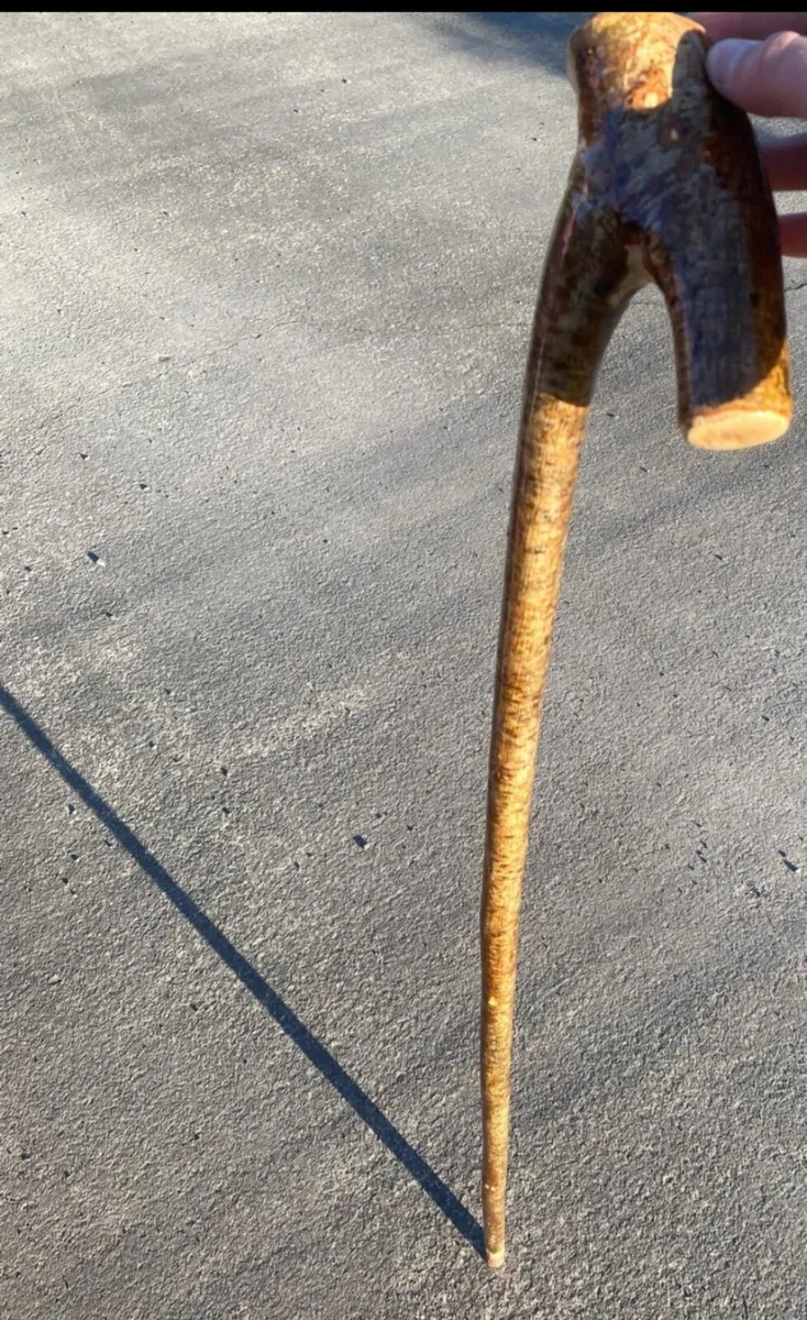 Hazal root stick /walking stick - Image 3