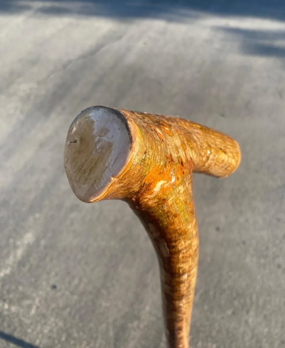 Hazal root stick /walking stick - Image 1