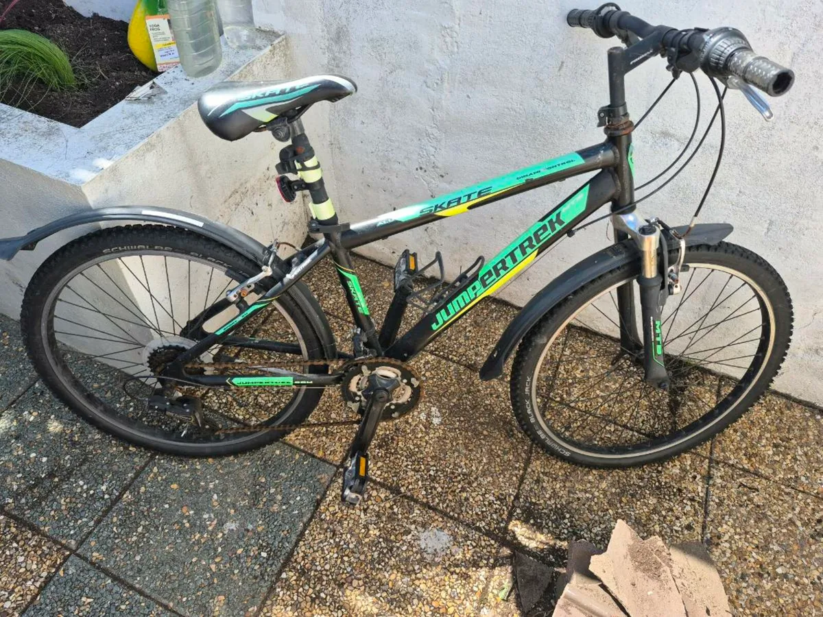 Bike - Image 1