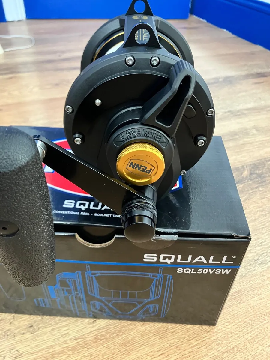 Fishing reel - Image 3