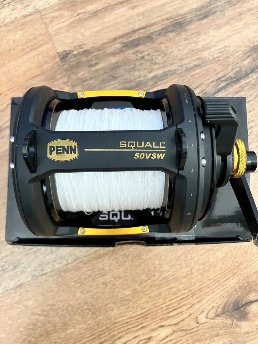 Fishing reel - Image 1