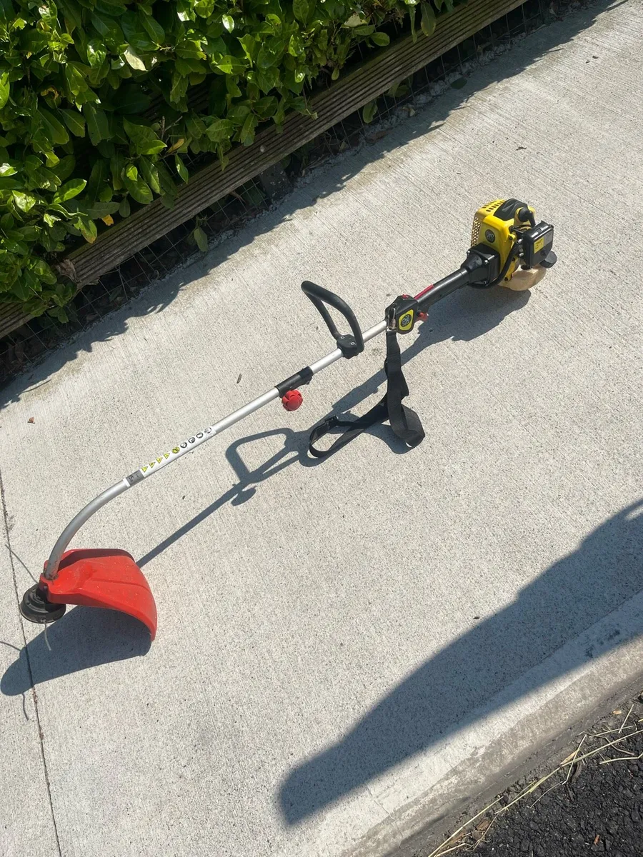 Strimmer - Image 1