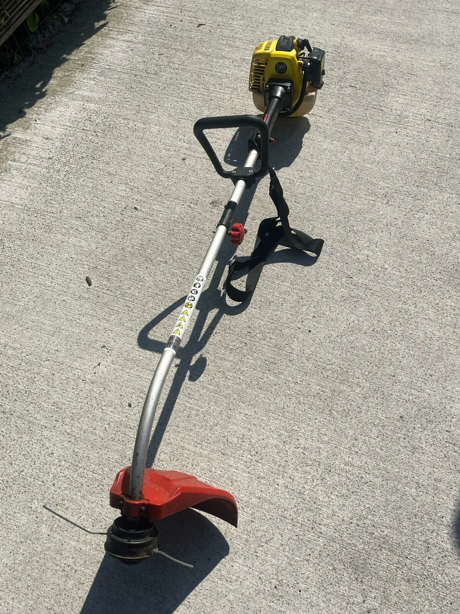 Strimmer - Image 2