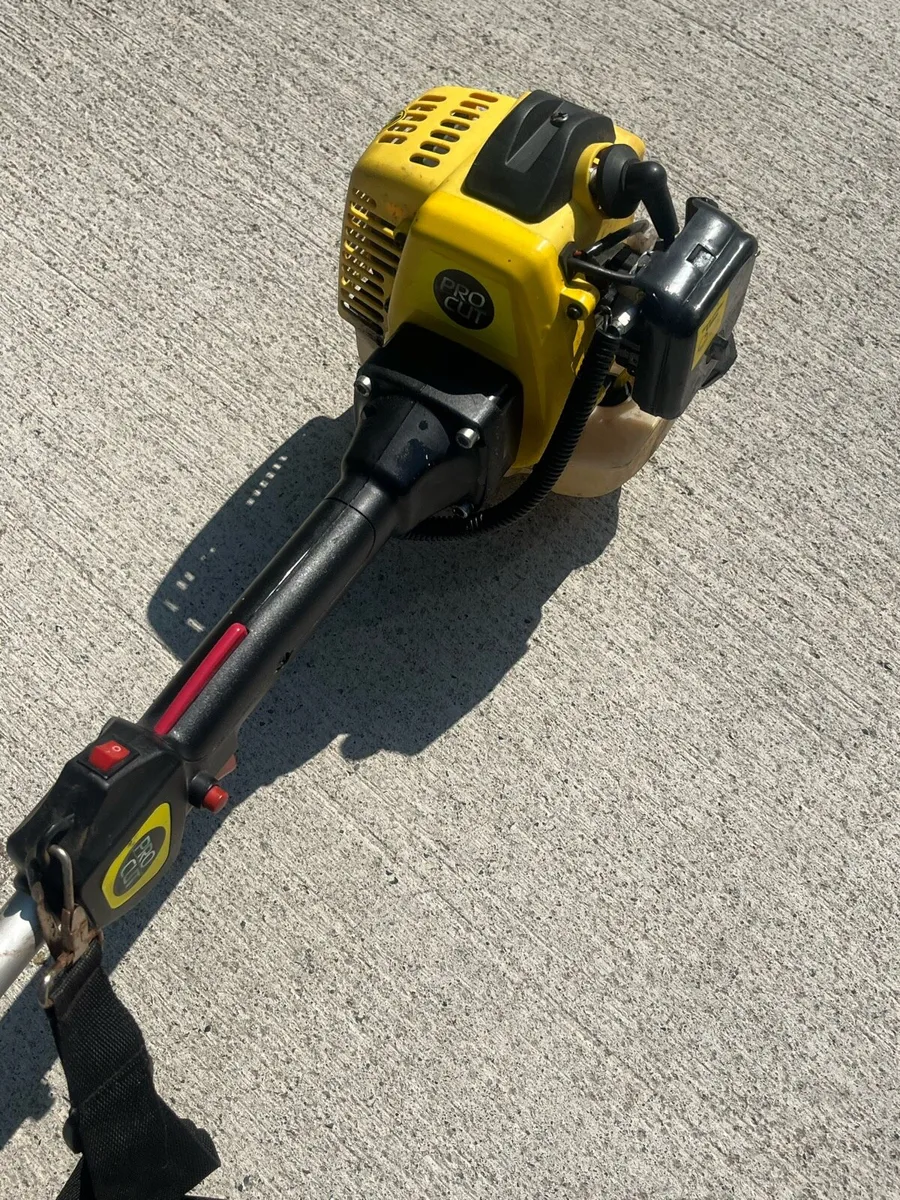 Strimmer - Image 3