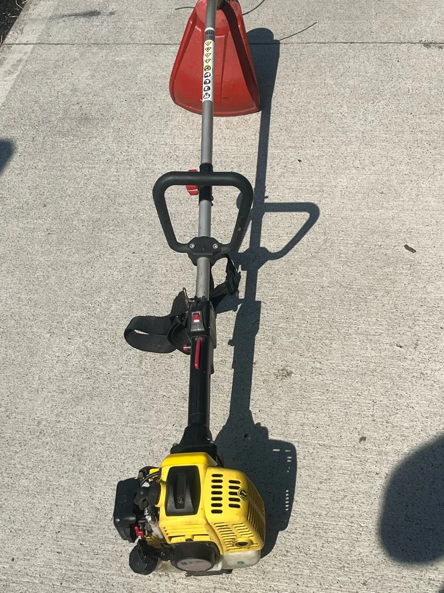 Strimmer - Image 4