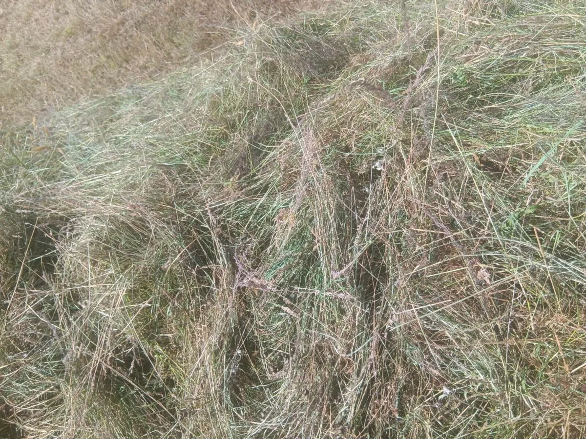 bales - Image 1