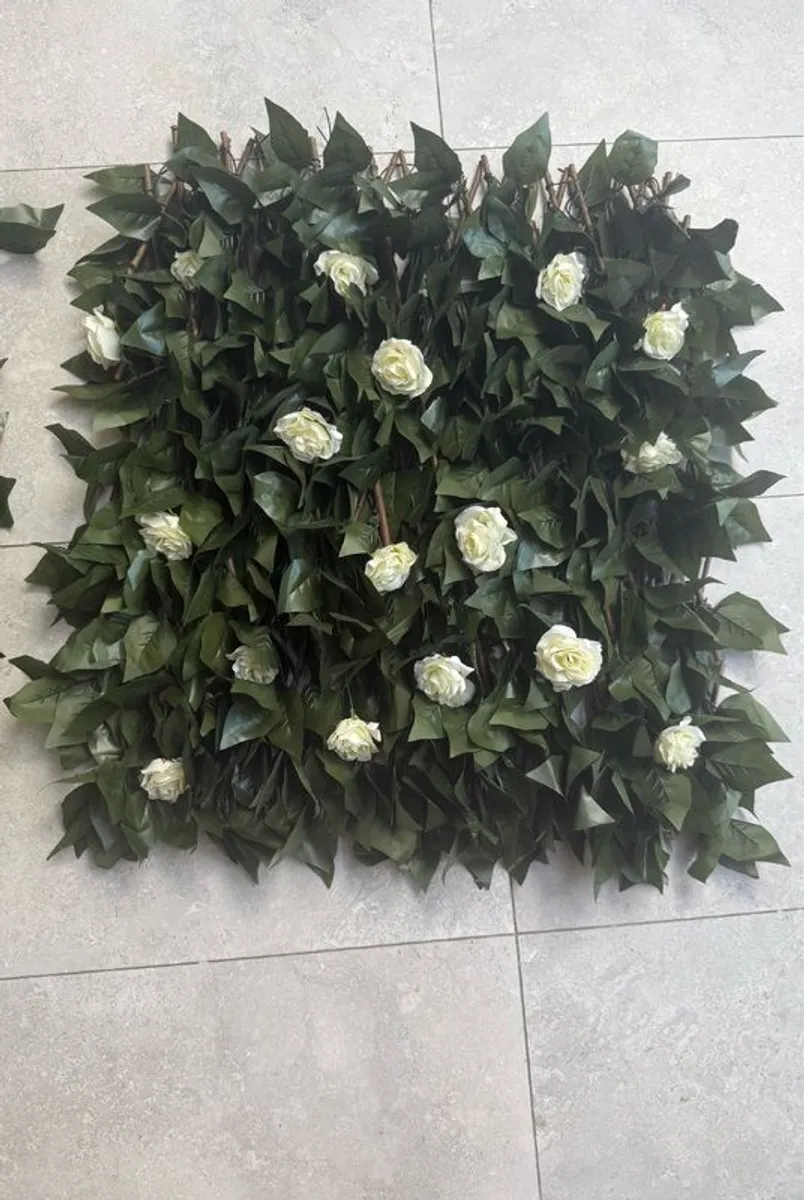 Expanding Trellis - Image 1