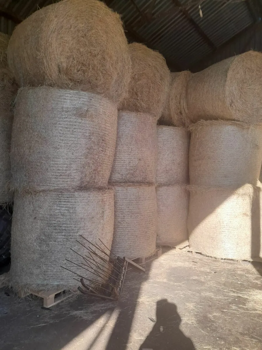 Hay for Sale