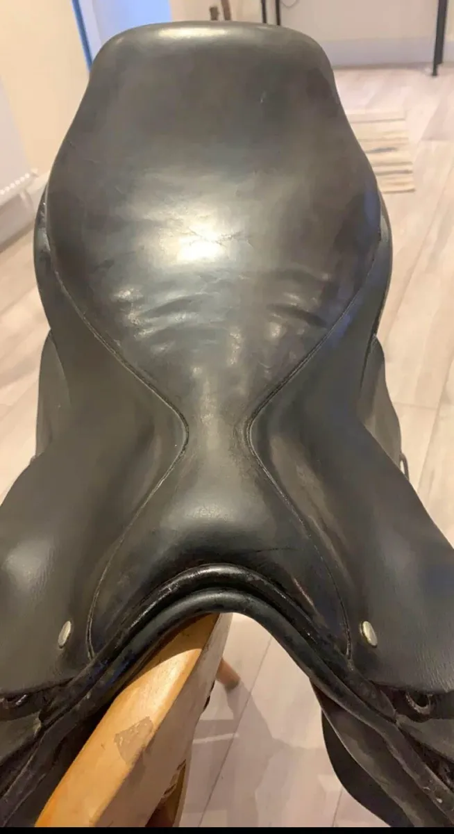 Immaculate multi purpose saddle✅ - Image 2