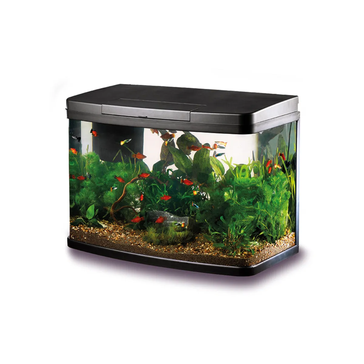 Love Fish. Panorama curved glass aquarium 40L - Image 1